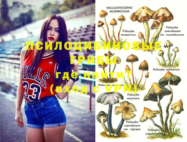соль курить ск Арсеньев