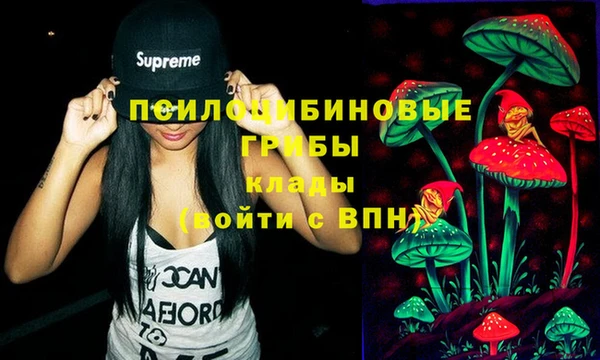 соль курить ск Арсеньев